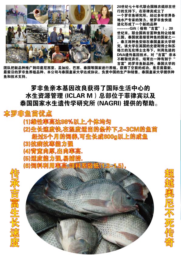 明輝正壹-01.jpg