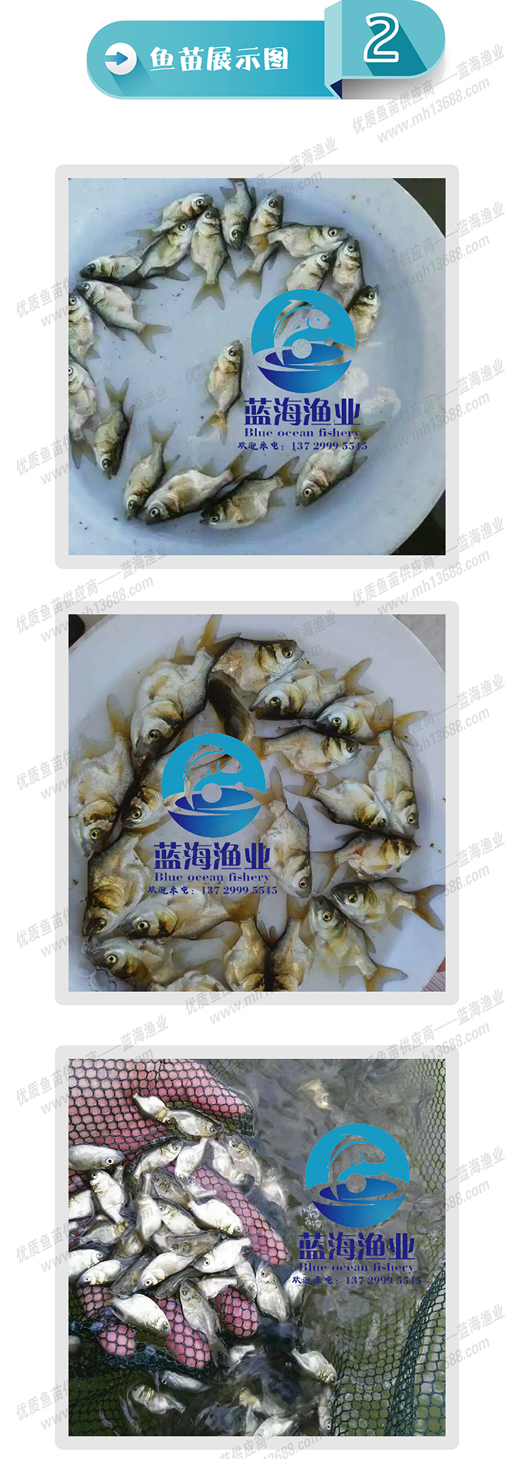 缩骨大头_画板5-02.jpg