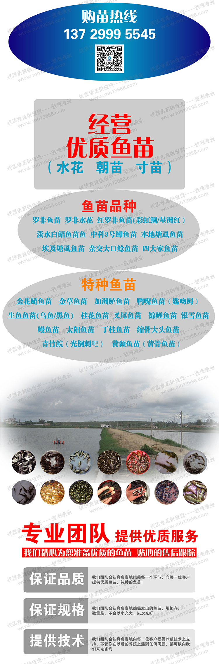 啊里详情页模版_画板2.jpg